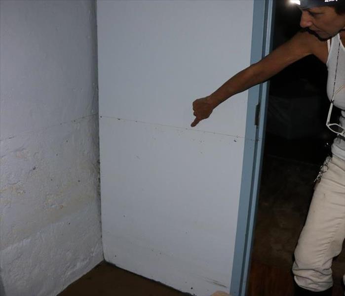 A woman points to a water line left on the wall of her basement.