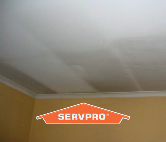 Subtle ghosting stains on a white ceiling.